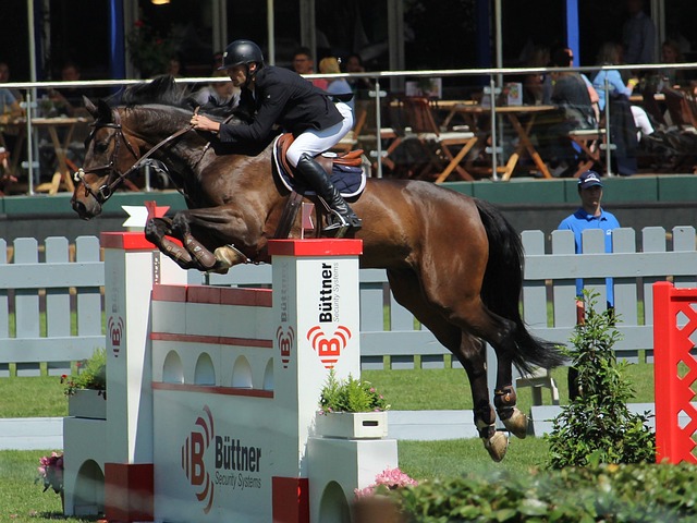 成为不可忽 成为不可忽