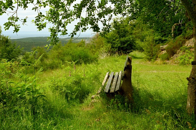 展的一个重 展的一个重
