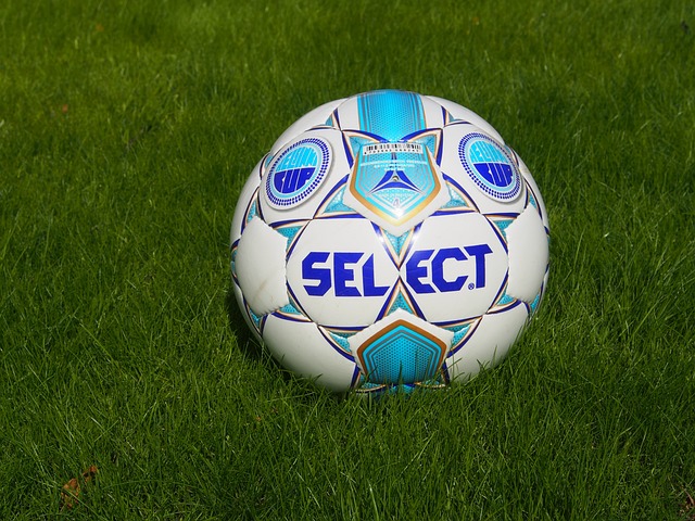 在这篇文章 在这篇文章