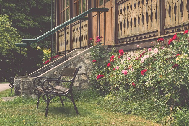 【央视关注河南三门峡】鸟类“体操王子”文须雀 首次现身黄河湿地.